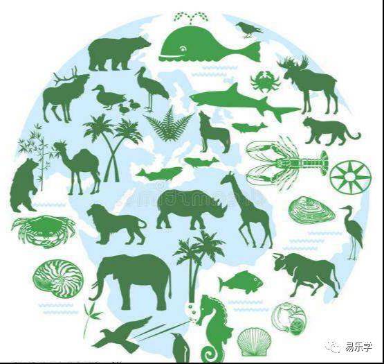 生态小报认识世界动物多样性日KK体育(图3)