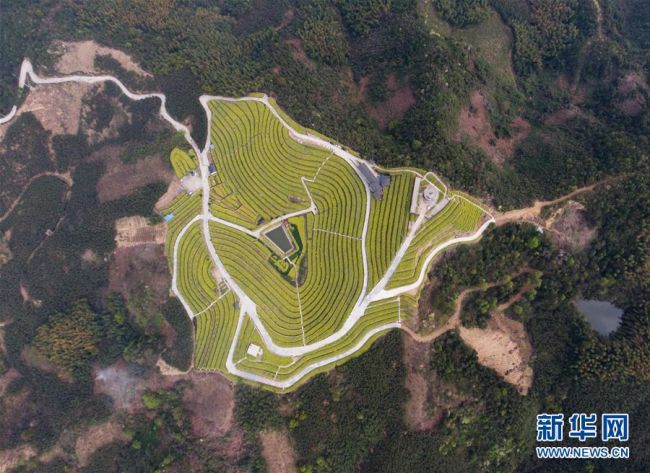 生态文明之光照耀美丽中国——写在绿水青山就是金山银山理念提出15周年之际KK体育(图6)