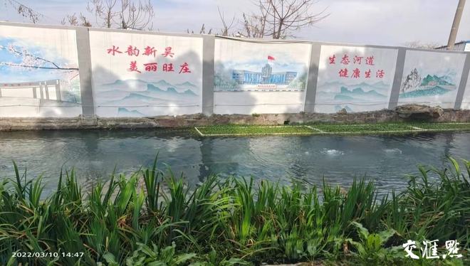KK体育无锡旺庄：解锁美丽河湖的“生态密码”(图1)