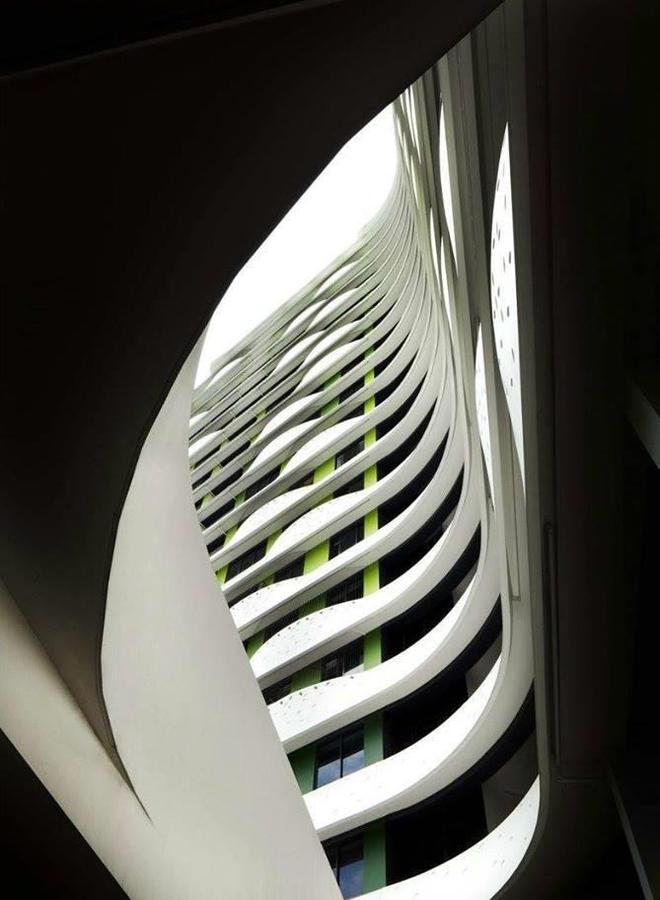 KK体育新加坡城市绿化的极致：从平面到垂直甚至还有摩天绿化(图3)