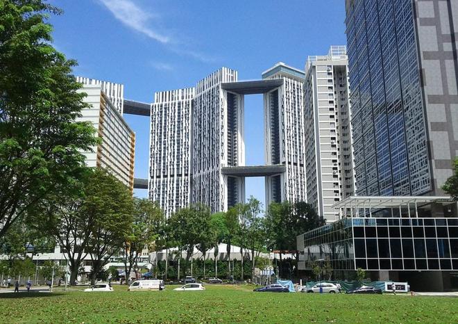 KK体育新加坡城市绿化的极致：从平面到垂直甚至还有摩天绿化(图2)