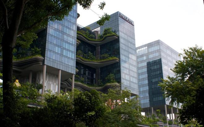KK体育新加坡城市绿化的极致：从平面到垂直甚至还有摩天绿化(图1)