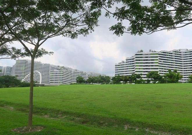 KK体育新加坡城市绿化的极致：从平面到垂直甚至还有摩天绿化(图8)