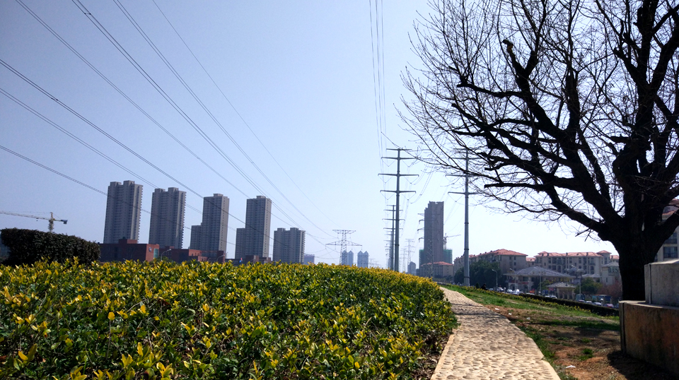 武汉城区最霸气马路绿化KK体育带：将山坡雕成巨龙做分界绵延3公里(图1)