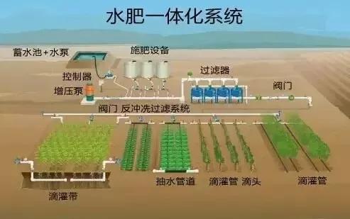 KK体育智能灌溉案例 手机点一点几十亩果园轻松管理(图8)