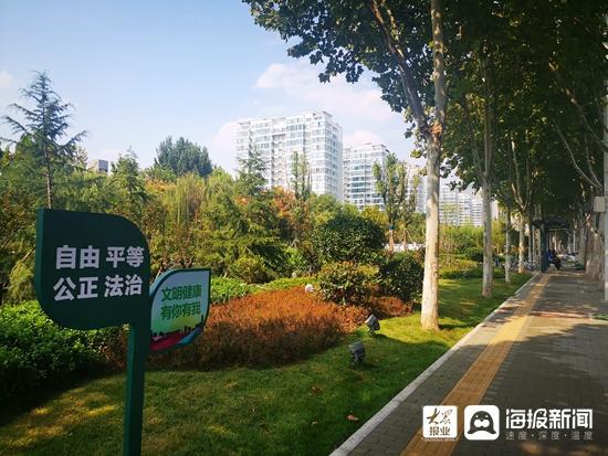龙珠体育app新面貌迎双节 淄博主城区道路绿化提升工程初见成效(图2)
