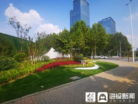 龙珠体育app新面貌迎双节 淄博主城区道路绿化提升工程初见成效(图3)