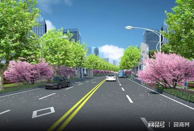 龙珠体育app常用的城市道路绿化形式(图1)