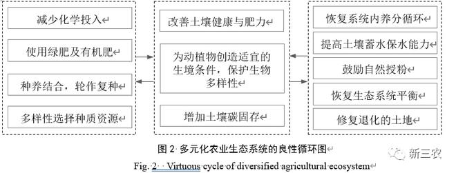 龙珠体育app工业化农业与生态农业的国际比较及其对中国的启示(图3)
