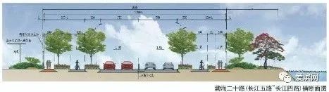 滨州长江五路与渤海二十路设计方案公布！龙珠体育app(图3)