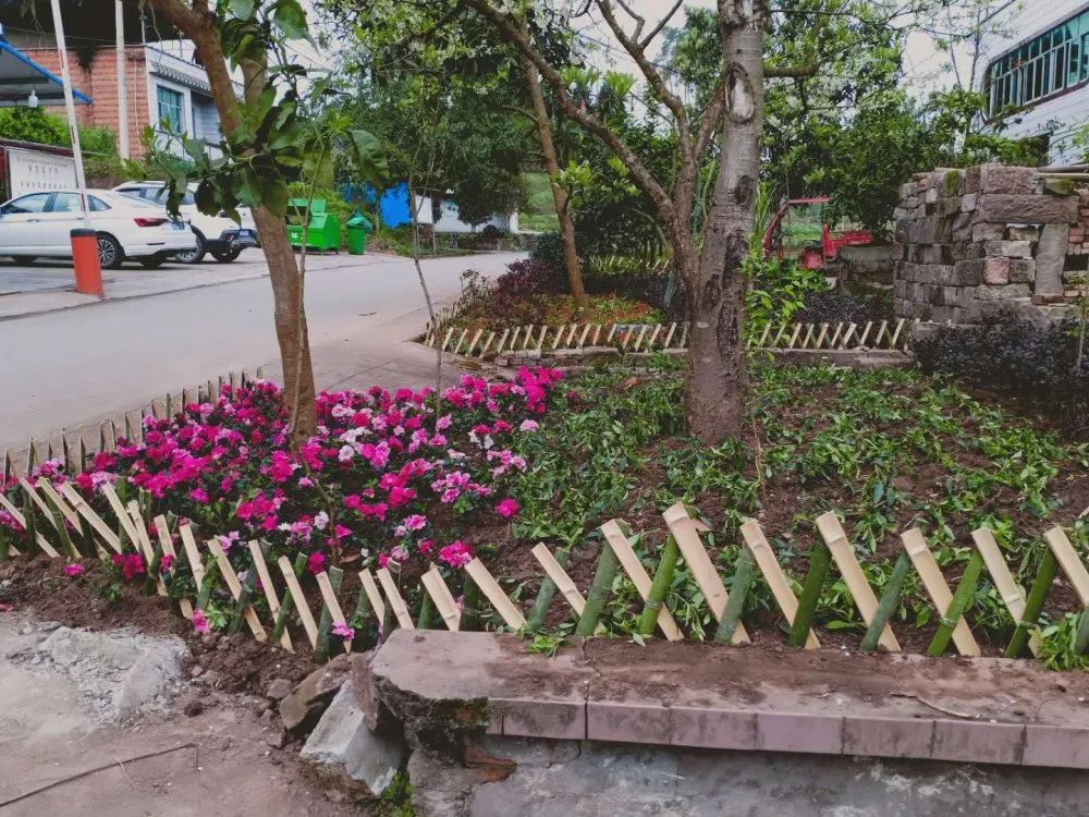水口镇栽鲜花围栅栏提升公路颜值龙珠体育app(图3)