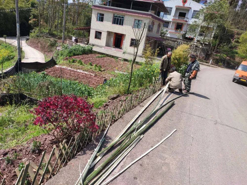 水口镇栽鲜花围栅栏提升公路颜值龙珠体育app(图4)