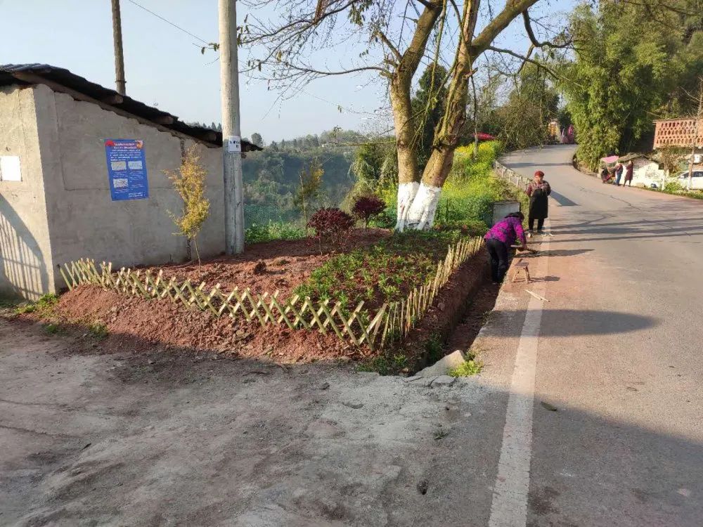 水口镇栽鲜花围栅栏提升公路颜值龙珠体育app(图7)
