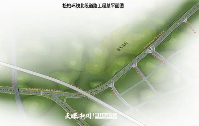 龙珠体育app绿色理念造就“海绵”路(图2)
