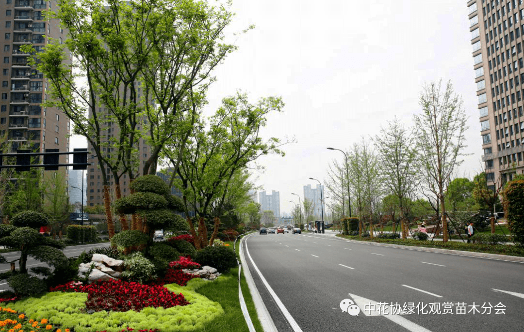 品一品杭城的“高颜值”龙珠体育app道路景观(图6)