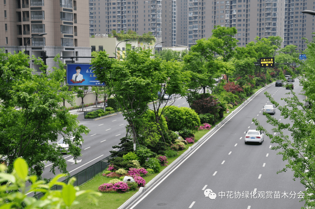 品一品杭城的“高颜值”龙珠体育app道路景观(图4)