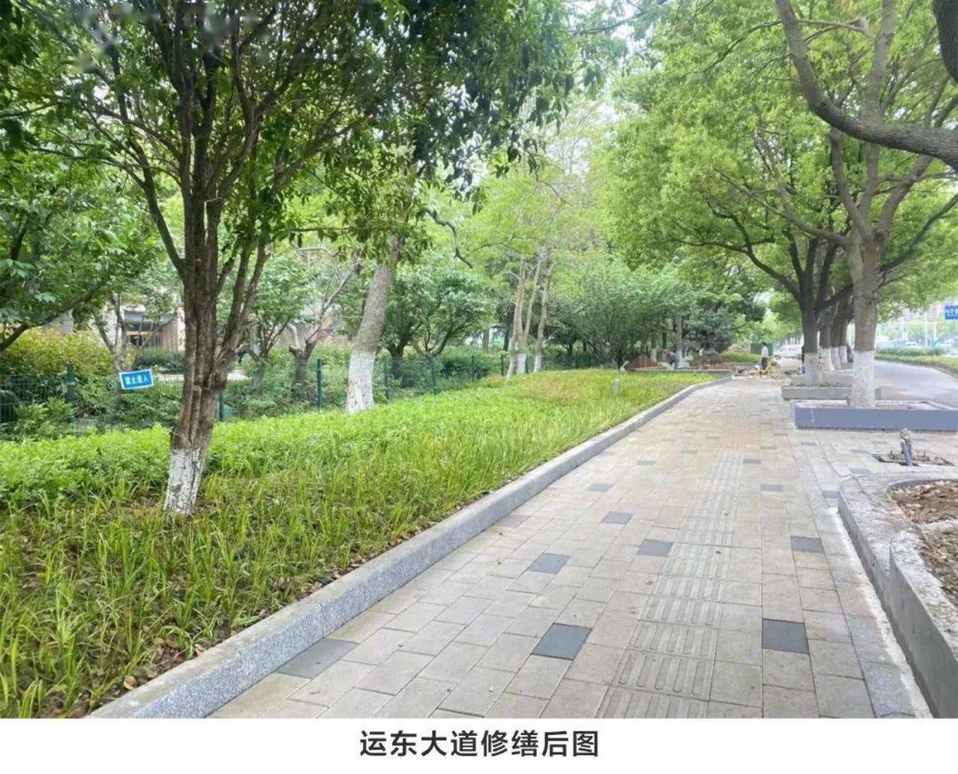 四季有景携绿出行！吴江开发区道路展“新颜”龙珠体育app(图5)