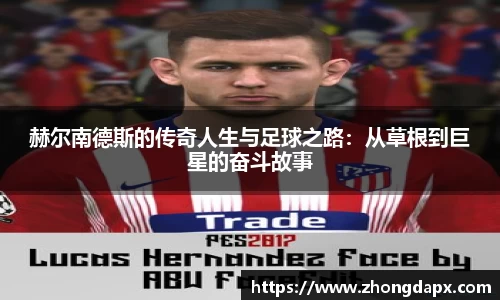 风云体育登录